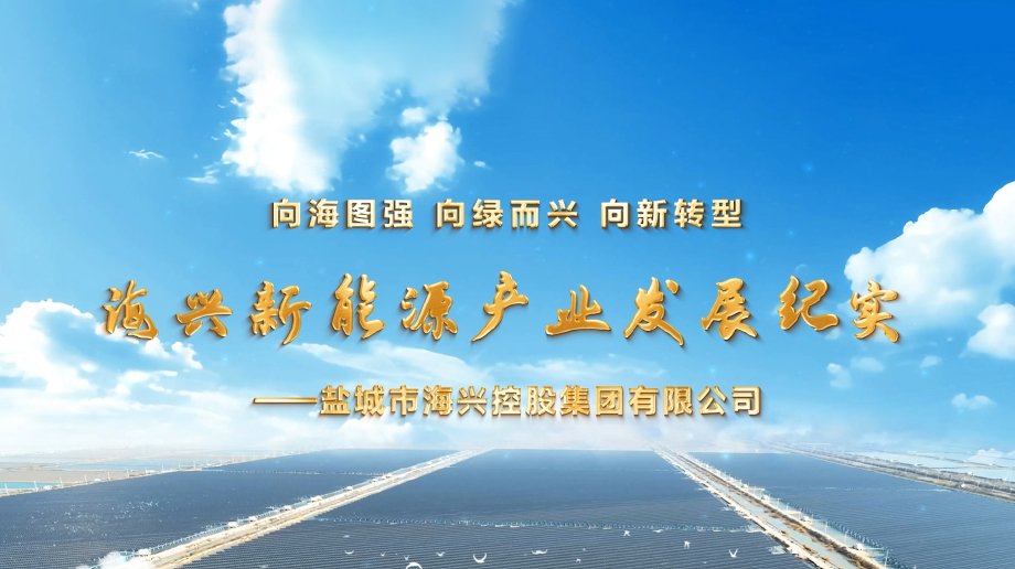 党委副书记